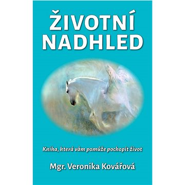 

Životní nadhled: Kniha, která vám pomůže pochopit život