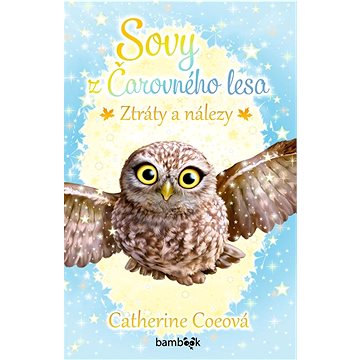 

Sovy z Čarovného lesa Ztráty a nálezy