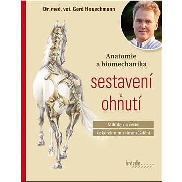 

Anatomie a biomechanika sestavení a ohnutí: Milníky na cestě ke korektnímu shromáždění