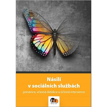 

Násilí v sociálních službách