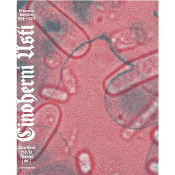 

Činoherní Ústí: Ve znamení kovadliny