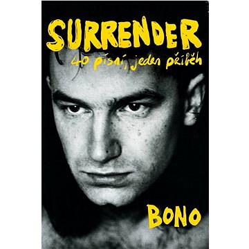 

Surrender: 40 písní, jeden příběh
