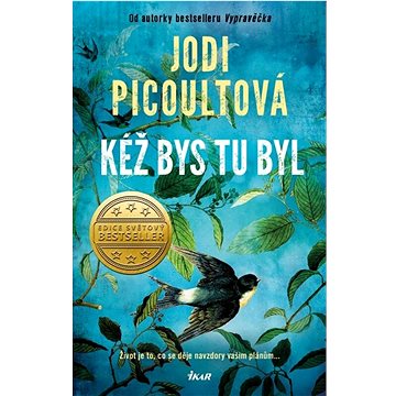

Kéž bys tu byl