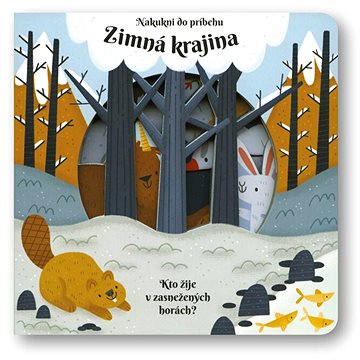 

Zimná krajina