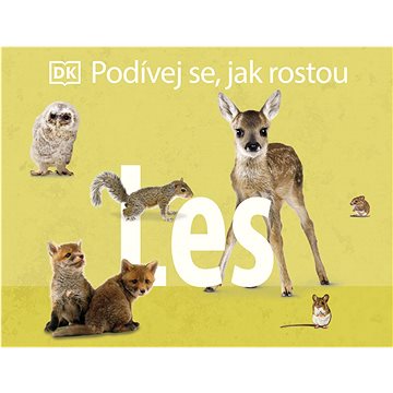 

Podívej se, jak rostou Les