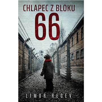 

Chlapec z bloku 66