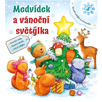 

Medvídek a vánoční světýlka