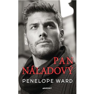 

Pan Náladový
