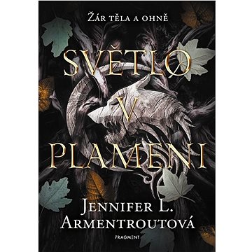 

Světlo v plameni