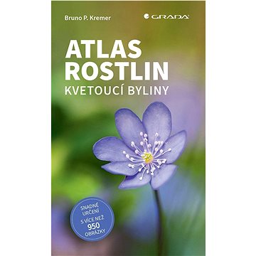 

Atlas rostlin: Kvetoucí byliny