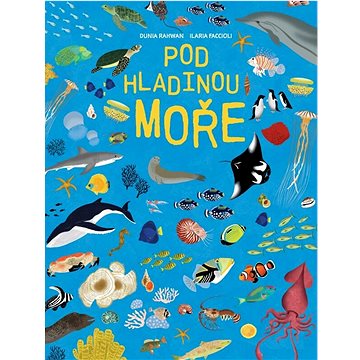 

Pod hladinou moře