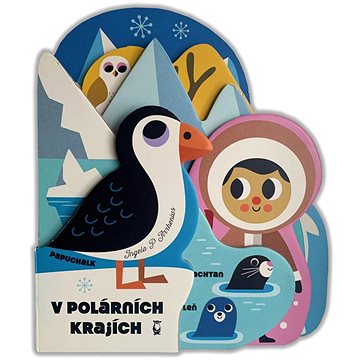 

V polárních krajích
