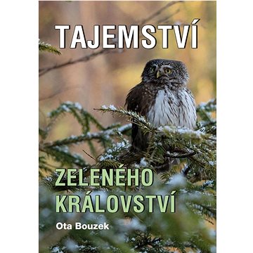 

Tajemství zeleného království