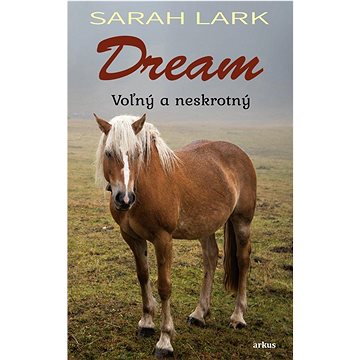

Dream