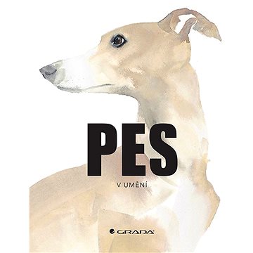 

Pes v umění