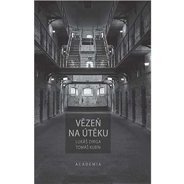 

Vězeň na útěku