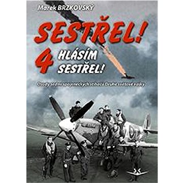 

Sestřel! Hlásím sestřel!: Osudy sedmi spojeneckých stíhačů Druhé světové války