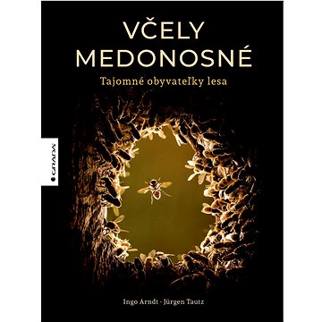 

Včely medonosné: Tajomné obyvateľky lesa