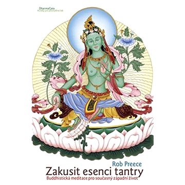 

Zakusit esenci tantry: Buddhistická meditace pro současný západní život