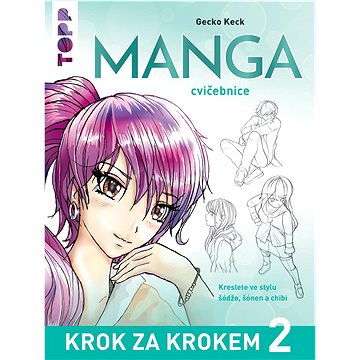

Manga krok za krokem 2