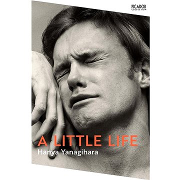 

A Little Life
