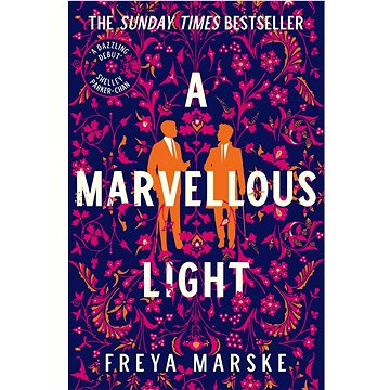 

A Marvellous Light: a dazzling, queer romantic fantasy