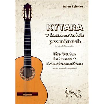 

Kytara v koncertních proměnách: The Guitar in Concert Transformations