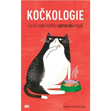 

Kočkologie: Co si vaše kočka opravdu myslí