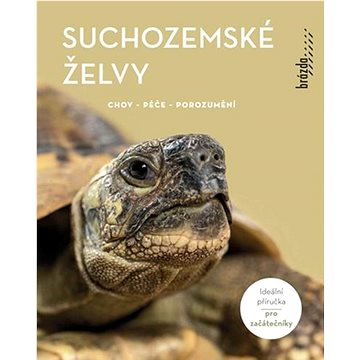 

Suchozemské želvy
