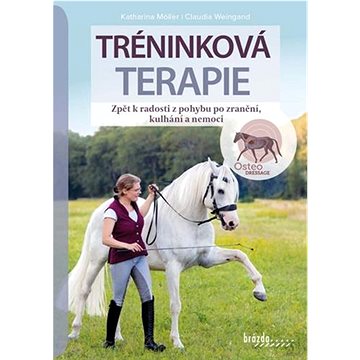 

Tréninková terapie