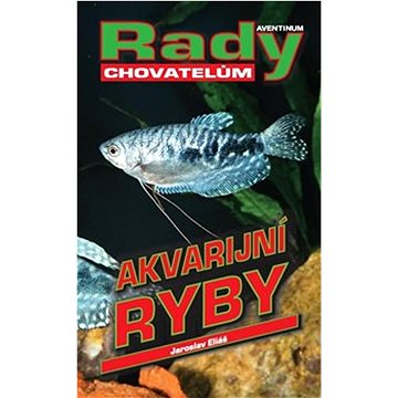 

Akvarijní ryby: rady chovatelům