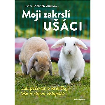 

Moji zakrslí ušáci: Jak pečovat o králíčky Vše o chovu malých chlupáčů