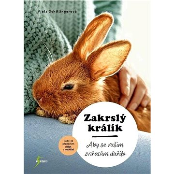 

Zakrslý králík: Aby se vašim zvířátům dařilo