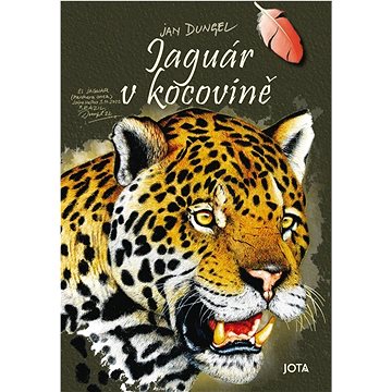 

Jaguár v kocovině
