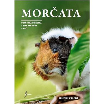 

Morčata: Praktická příručka s tipy pro chov a péči