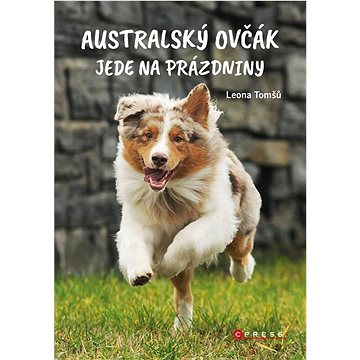 

Australský ovčák jede na prázdniny