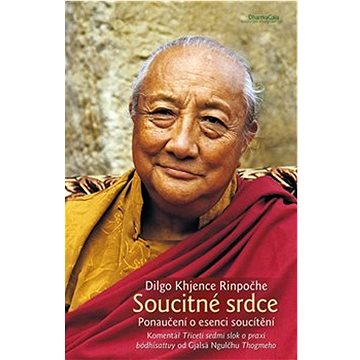 

Soucitné srdce: Ponaučení o esenci soucítění