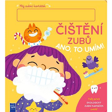

Čištění zubů
