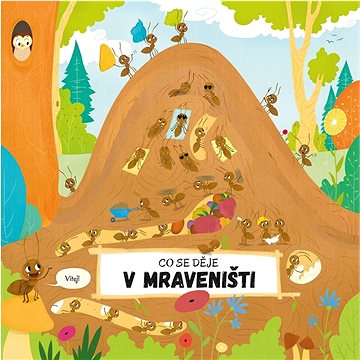 

Co se děje v mraveništi