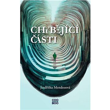 

Chybějící části