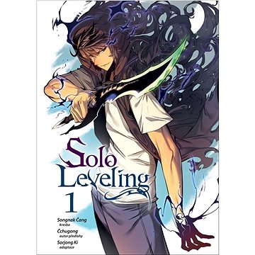 

Solo Leveling