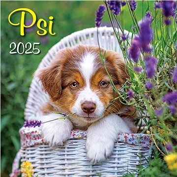 

Psi 2025