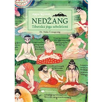 

Nedžang: Tibetská jóga sebeléčení
