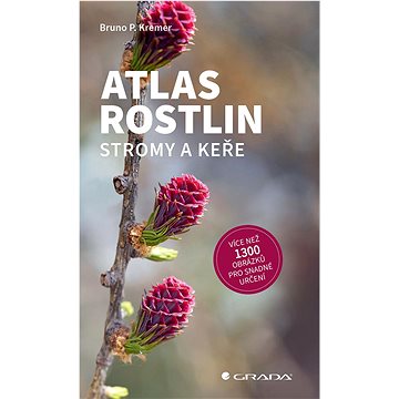 

Atlas rostlin: Stromy a keře