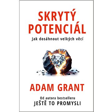 

Skrytý potenciál: Jak dosáhnout velkých věcí