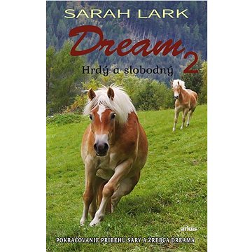 

Dream 2