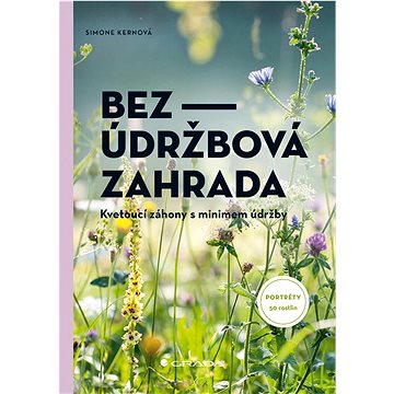

Bezúdržbová zahrada: Kvetoucí záhony s minimem údržby
