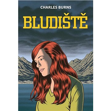 

Bludiště