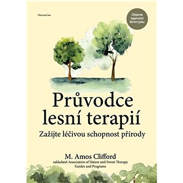 

Průvodce lesní terapií: Zažijte léčivou schopnost přírody