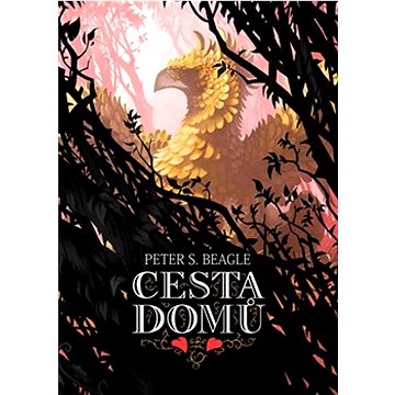 

Cesta domů